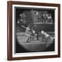 New York Yankees Player Mickey Mantle, Batting During Game-null-Framed Premium Photographic Print