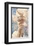 New York-null-Framed Art Print