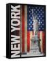 New York-Todd Williams-Framed Stretched Canvas