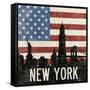 New York-Moira Hershey-Framed Stretched Canvas