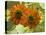 New Zeal and Sunflower-George Johnson-Stretched Canvas