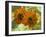 New Zeal and Sunflower-George Johnson-Framed Photographic Print