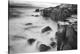 New Zealand, Asia, Catlins National Forest, Curio Bay, Surf-John Ford-Stretched Canvas