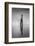 New Zealand, Asia, Seagull on Piling-John Ford-Framed Photographic Print