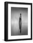 New Zealand, Asia, Seagull on Piling-John Ford-Framed Photographic Print