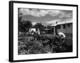 New Zealand Back Garden-null-Framed Photographic Print