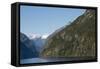 New Zealand, Fiordland National Park, Milford Sound, known as Piopiotahi-Cindy Miller Hopkins-Framed Stretched Canvas