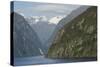 New Zealand, Fiordland National Park, Milford Sound. Scenic Fjord-Cindy Miller Hopkins-Stretched Canvas