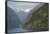 New Zealand, Fiordland National Park, Milford Sound. Scenic Fjord-Cindy Miller Hopkins-Framed Stretched Canvas