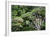 New Zealand, Fjordland National Park, Greenstone Track, Rainforest-Catharina Lux-Framed Photographic Print