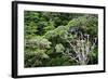 New Zealand, Fjordland National Park, Greenstone Track, Rainforest-Catharina Lux-Framed Photographic Print