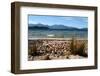 New Zealand, Fjordland National Park, Lake Manapouri-Catharina Lux-Framed Photographic Print