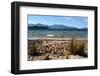 New Zealand, Fjordland National Park, Lake Manapouri-Catharina Lux-Framed Photographic Print