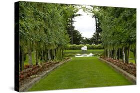 New Zealand Garden-George Johnson-Stretched Canvas