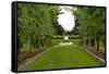 New Zealand Garden-George Johnson-Framed Stretched Canvas