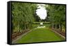 New Zealand Garden-George Johnson-Framed Stretched Canvas