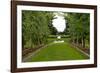 New Zealand Garden-George Johnson-Framed Photographic Print