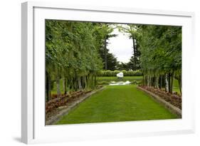 New Zealand Garden-George Johnson-Framed Photographic Print