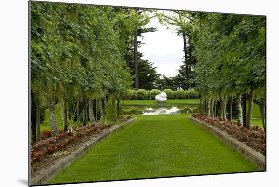 New Zealand Garden-George Johnson-Mounted Photographic Print