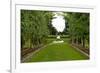 New Zealand Garden-George Johnson-Framed Photographic Print