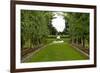 New Zealand Garden-George Johnson-Framed Photographic Print