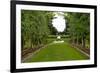 New Zealand Garden-George Johnson-Framed Photographic Print