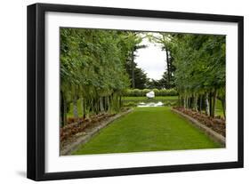 New Zealand Garden-George Johnson-Framed Photographic Print