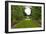 New Zealand Garden-George Johnson-Framed Photographic Print