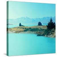 New Zealand Landscape-George Silk-Stretched Canvas