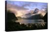 New Zealand Milford Sound During a Storm-null-Stretched Canvas
