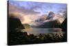 New Zealand Milford Sound During a Storm-null-Stretched Canvas