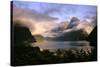 New Zealand Milford Sound During a Storm-null-Stretched Canvas