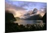 New Zealand Milford Sound During a Storm-null-Mounted Photographic Print
