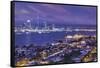 New Zealand, North Island, Auckland, skyline view from Devonport, dawn-Walter Bibikw-Framed Stretched Canvas