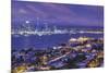 New Zealand, North Island, Auckland, skyline view from Devonport, dawn-Walter Bibikw-Mounted Photographic Print