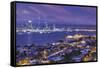 New Zealand, North Island, Auckland, skyline view from Devonport, dawn-Walter Bibikw-Framed Stretched Canvas