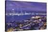 New Zealand, North Island, Auckland, skyline view from Devonport, dawn-Walter Bibikw-Stretched Canvas