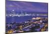 New Zealand, North Island, Auckland, skyline view from Devonport, dawn-Walter Bibikw-Mounted Photographic Print