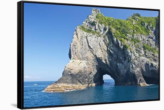 New Zealand, North Island, Bay of islands, Hole in the Rock-Rob Tilley-Framed Stretched Canvas