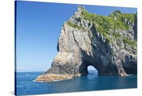 New Zealand, North Island, Bay of islands, Hole in the Rock-Rob Tilley-Stretched Canvas