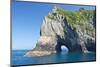 New Zealand, North Island, Bay of islands, Hole in the Rock-Rob Tilley-Mounted Photographic Print