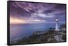 New Zealand, North Island, Castlepoint. Castlepoint Lighthouse-Walter Bibikow-Framed Stretched Canvas