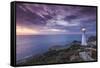 New Zealand, North Island, Castlepoint. Castlepoint Lighthouse-Walter Bibikow-Framed Stretched Canvas