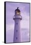 New Zealand, North Island, Castlepoint. Castlepoint Lighthouse-Walter Bibikow-Framed Stretched Canvas