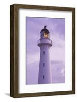 New Zealand, North Island, Castlepoint. Castlepoint Lighthouse-Walter Bibikow-Framed Photographic Print