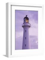 New Zealand, North Island, Castlepoint. Castlepoint Lighthouse-Walter Bibikow-Framed Photographic Print