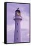 New Zealand, North Island, Castlepoint. Castlepoint Lighthouse-Walter Bibikow-Framed Stretched Canvas