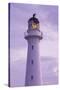 New Zealand, North Island, Castlepoint. Castlepoint Lighthouse-Walter Bibikow-Stretched Canvas