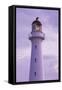 New Zealand, North Island, Castlepoint. Castlepoint Lighthouse-Walter Bibikow-Framed Stretched Canvas