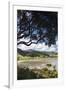 New Zealand, North Island, Coromandel Town, Colville, waterfront-Walter Bibikow-Framed Photographic Print